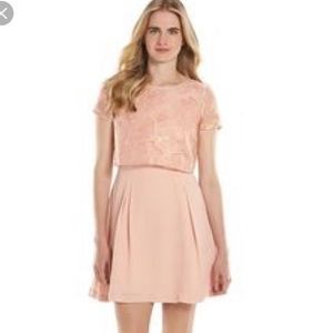 Soft Pink Fit and Flare Lauren Conrad Dress